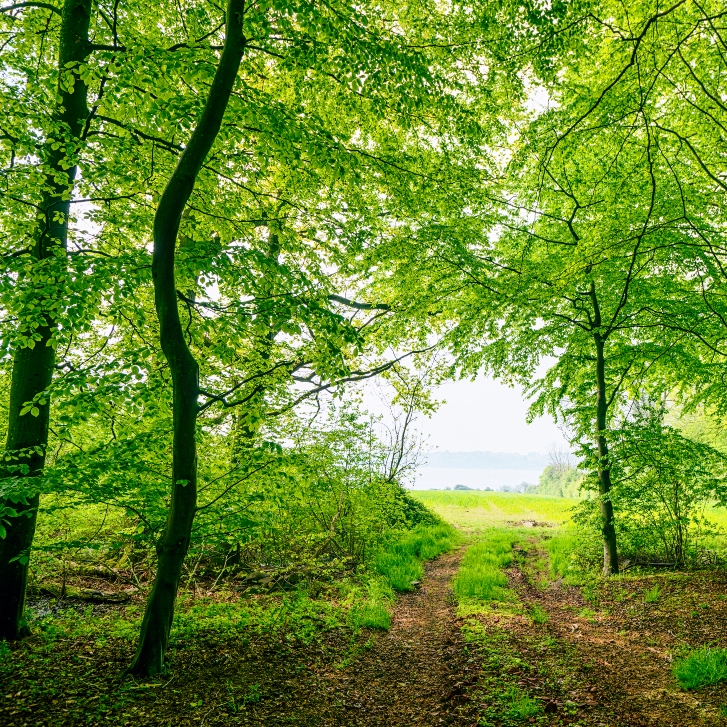 iStock 2164428436 (1)